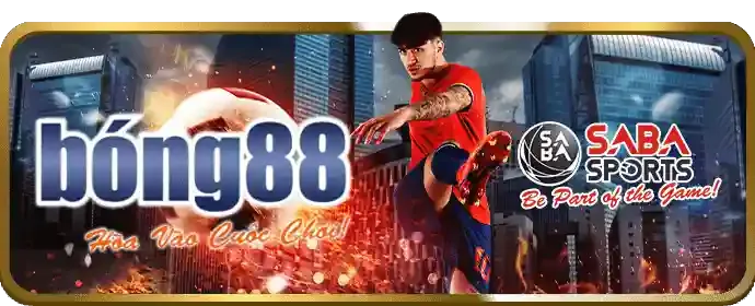 Hoàn trả cược 6967bb